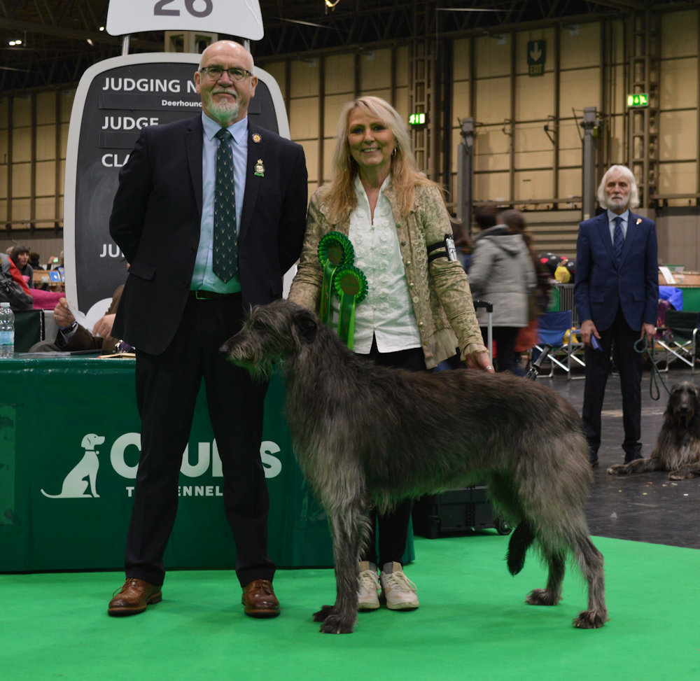 Best of Breed Crufts 2024